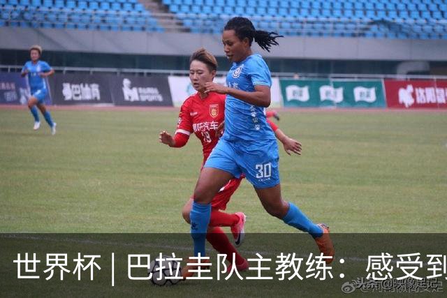 世界杯 | 巴拉圭队主教练：感受到比赛的极致压力