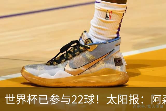 世界杯已参与22球！太阳报：阿森纳众将闪耀世界杯 塔帅将给假期