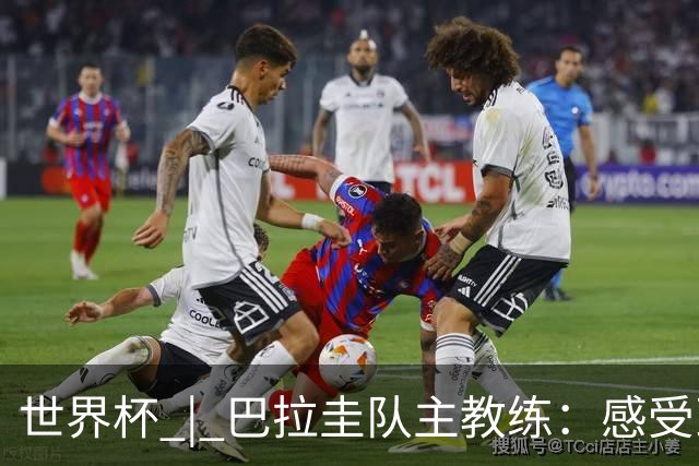 世界杯 | 巴拉圭队主教练：感受到比赛的极致压力