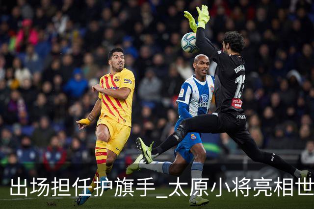 出场担任护旗手 太原小将亮相世界杯