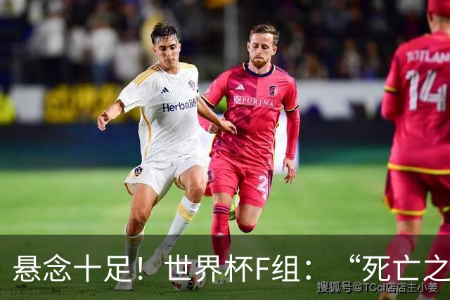 悬念十足！世界杯F组：“死亡之组”的24种排列组合