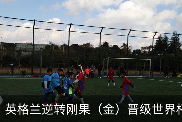 英格兰逆转刚果（金）晋级世界杯16强，威廉王子夫妇送祝贺，贝克汉姆大赞凯恩