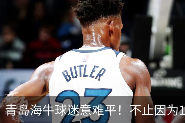 青岛海牛球迷意难平！不止因为1-5河南队，更多在于以下五点！