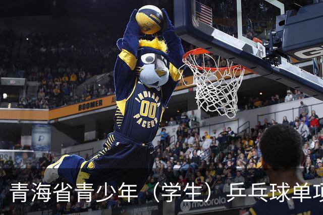 青海省青少年（学生）乒乓球单项赛开赛