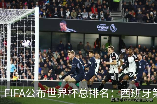 FIFA公布世界杯总排名：西班牙第1，巴西第11，荷兰、德国第17、18